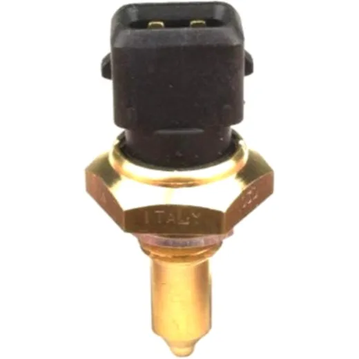 Kühlmitteltemperatursensor ID
