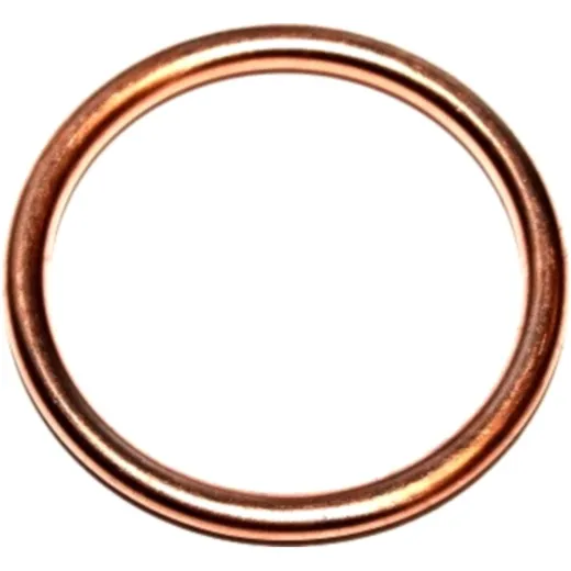 Dichtring 813184