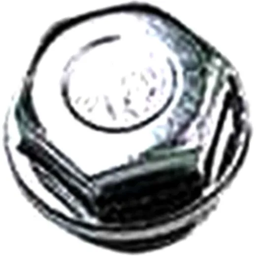 Lambda sensor blanking plug