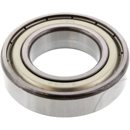 bearing 6006ZZ