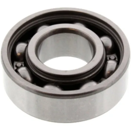 bearing 6202DU