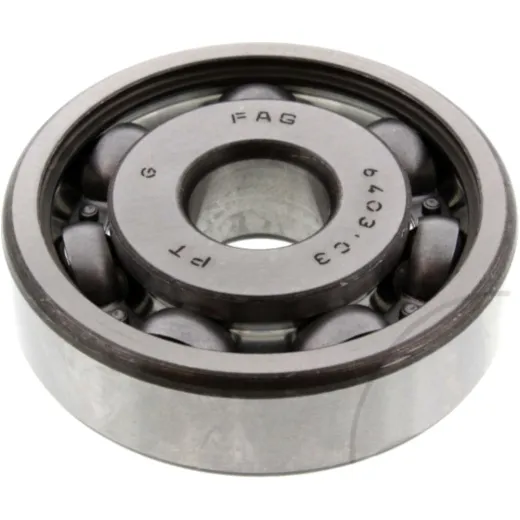 bearing 6403C3