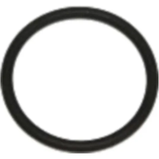 Sealing ring fpm id 904260