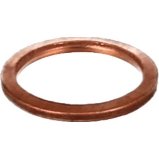 Seal ring oelablasss 110604