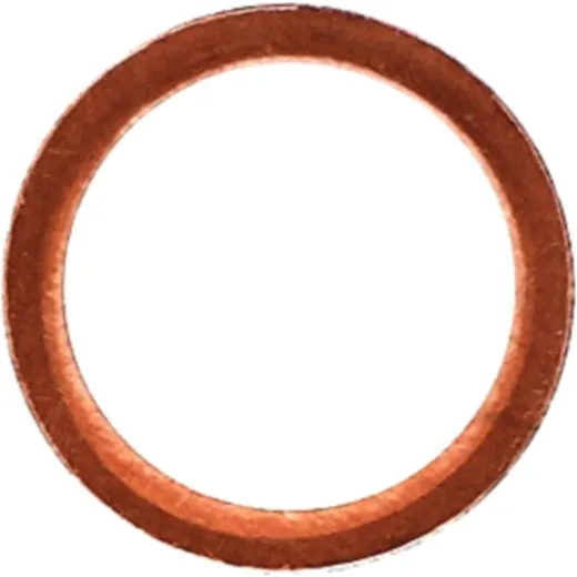 Dichtring OELABLASSS 110604