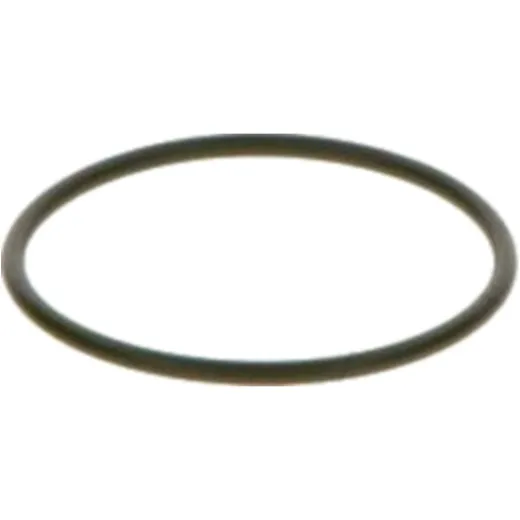 Dichtring 1033315
