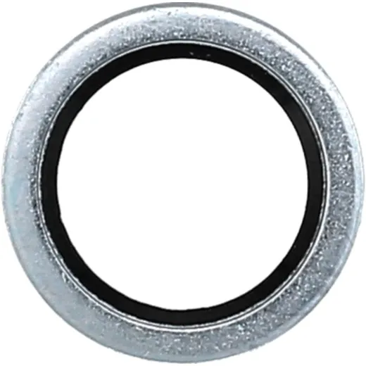 Dichtring OELABLASSS 834823