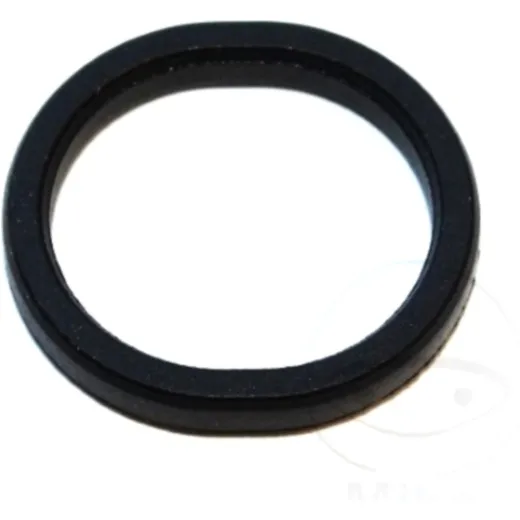 Dichtring FPM ID 240180