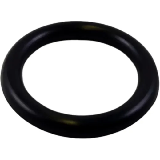 Dichtring FPM ID 747030