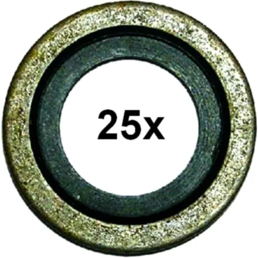 Dichtring 16X24X1.5