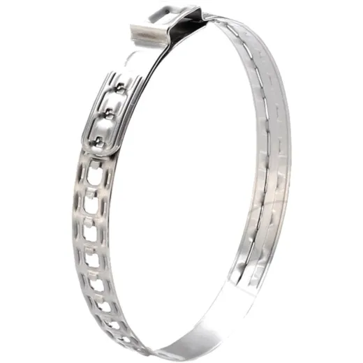 Band clamp dual hook