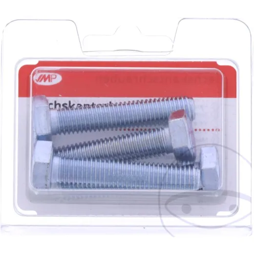 Bolt galvanized 8.8 m10x50