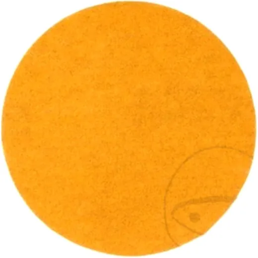 Schleifscheiben K120 50 Stück 76 mm P120C 255P 236U