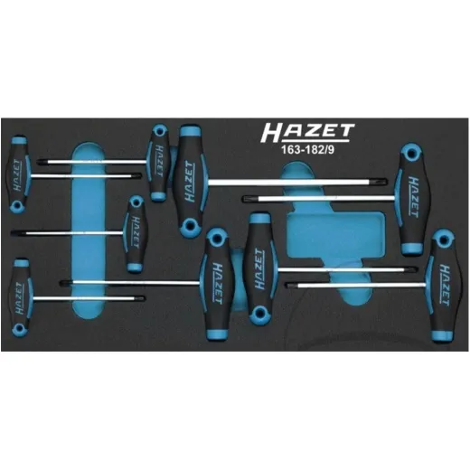Screwdriver t-griff kit