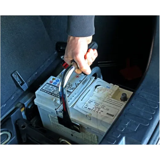 Batterie TRAEGER