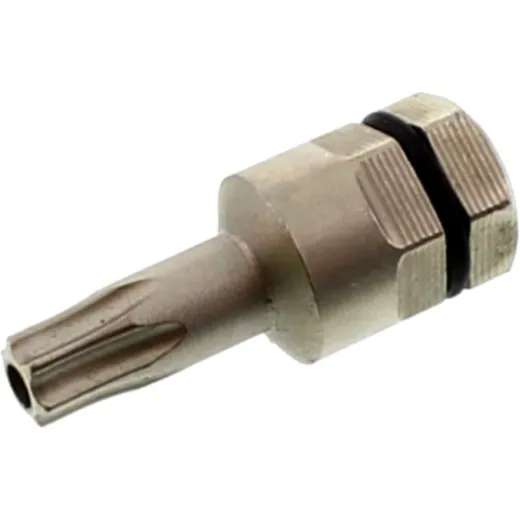 Bit Torx T25 mit Bohrung 5/16 6 Kant