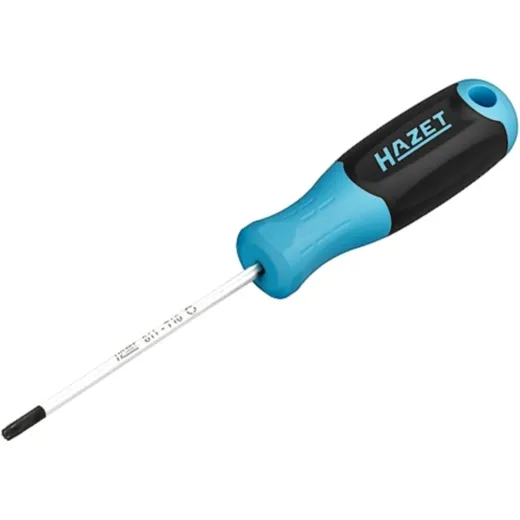 SCREWDRIVER TORX T10