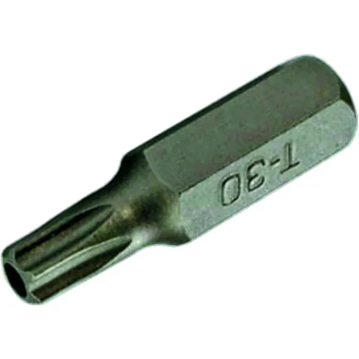 Bit Torx T70 mit Bohrung