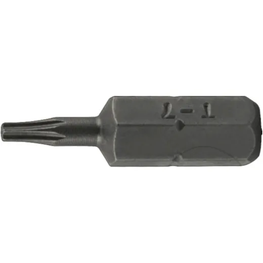 Bit Torx T15 mit Bohrung