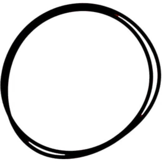 O-Ring SAHARA