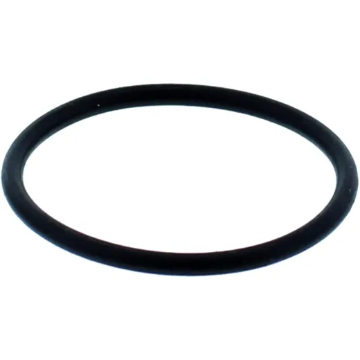 O-Ring für Kolben 6522965