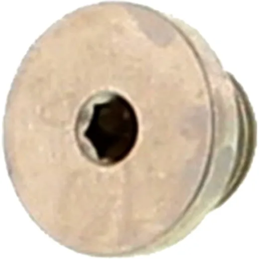 Screw plug 0244800