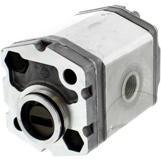 Zahnradpumpe 1BK7D9.2Q