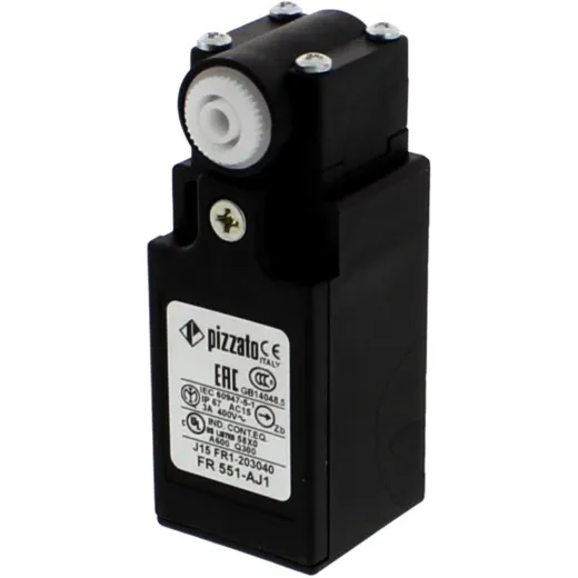 ENDSCHALTER Ravaglioli FR551A