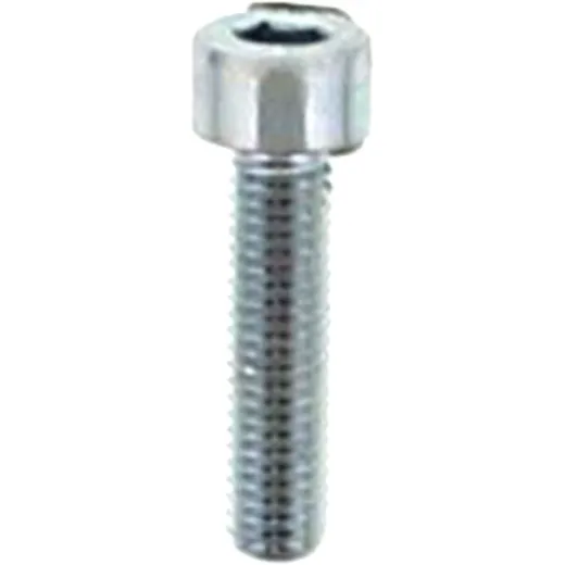 Screw AC 50-2