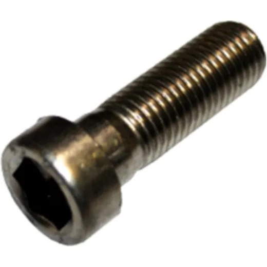 Cap head allen bolt m16x50 low head