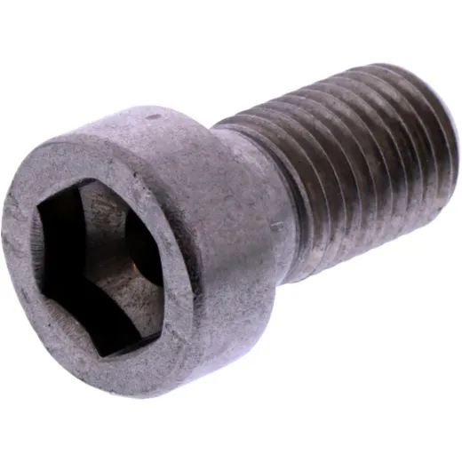 Cylinder Screw M16X30