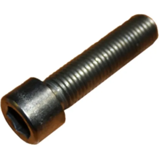 Cylinder Screw M16X60