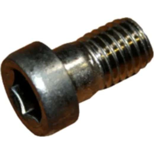 Cylinder Screw M12X20