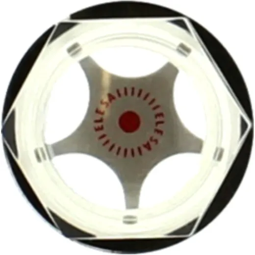 OELSTANDAUGE g 3/4