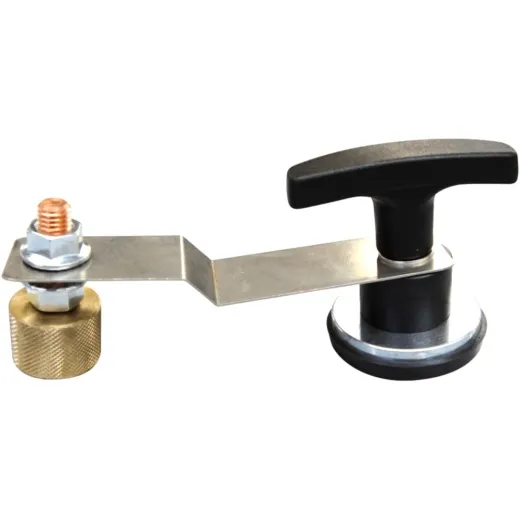 Magnetische masse