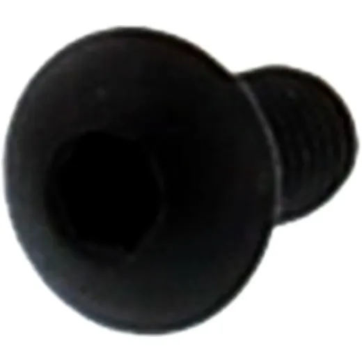 Screw M5X10 for