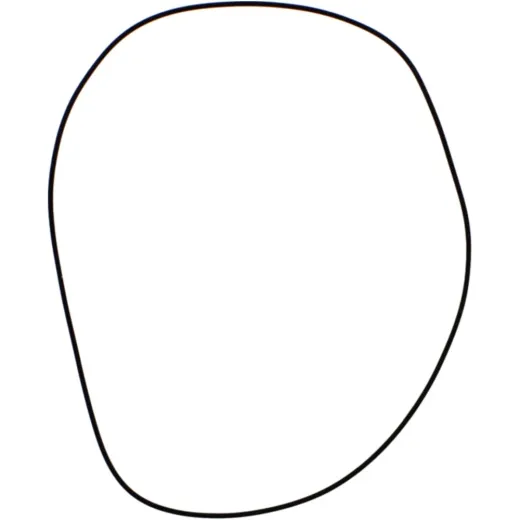 O-Ring for ABDRUECKZYL.