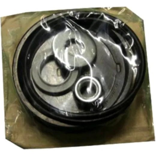 DichtSet SPANNCylinder 1970763