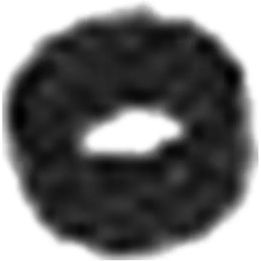 Dichtring 5090535