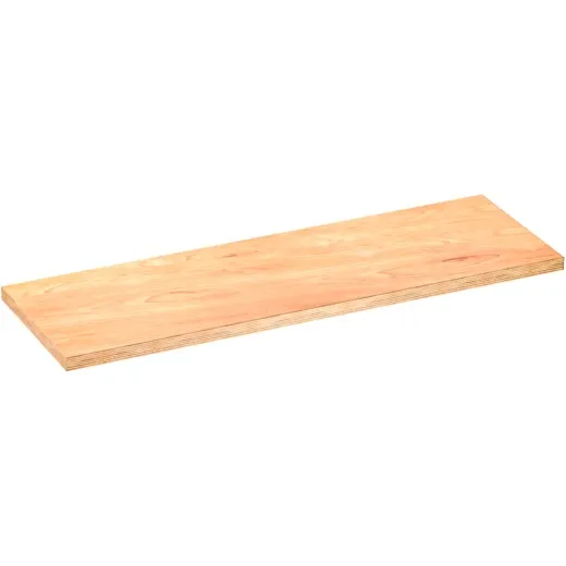 ARBEITSPLATTE hinten links V600001541