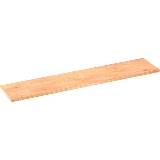 ARBEITSPLATTE hinten links V600002404