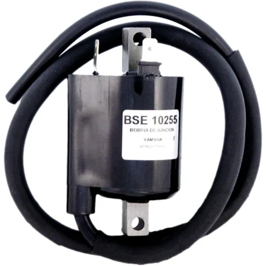 Zündspule Alternative: 7003082