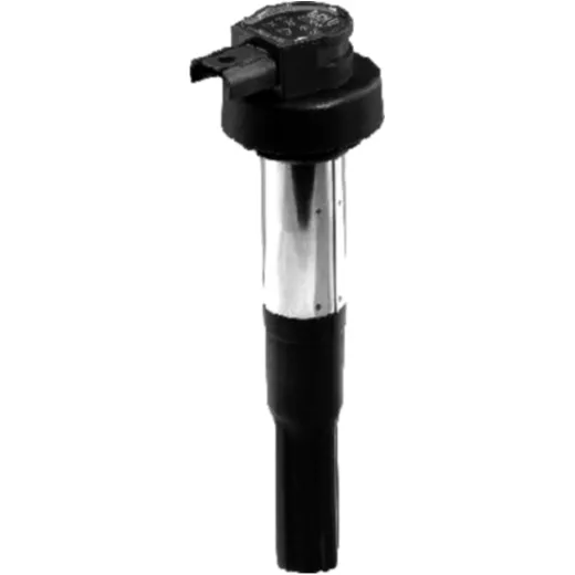 Ignition coil zs386 beru