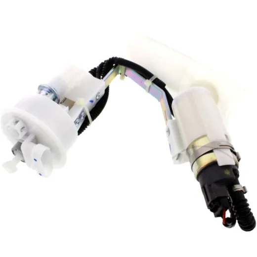 Fuel pump (orig spare part) 641251