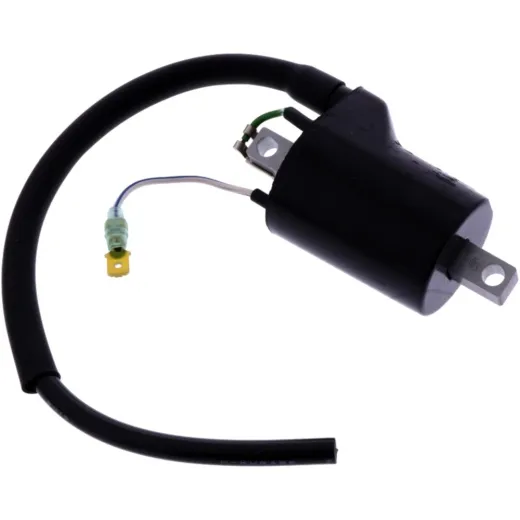 Ignition coil 981055