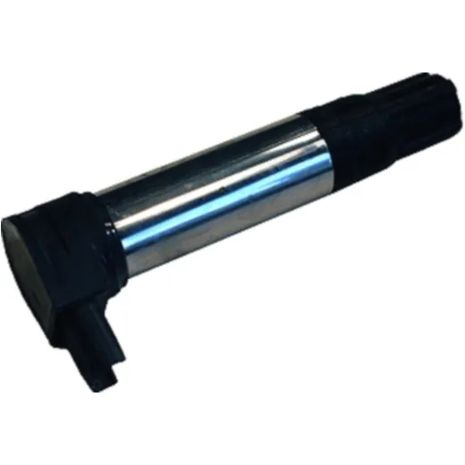 Ignition coil zs385 beru