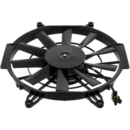Fan all balls racing 701004