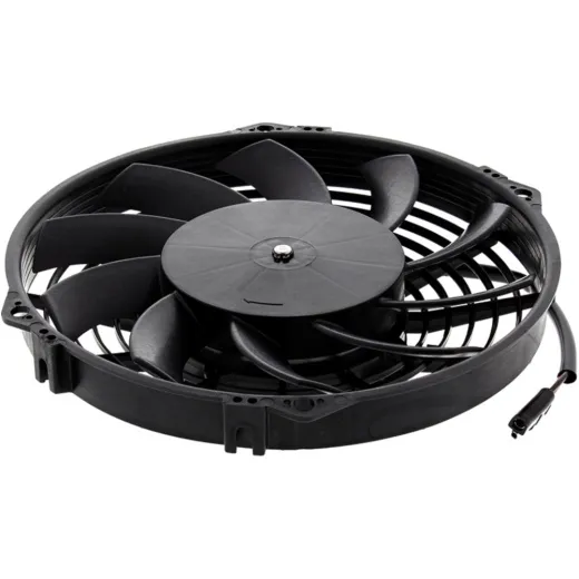 Fan all balls racing