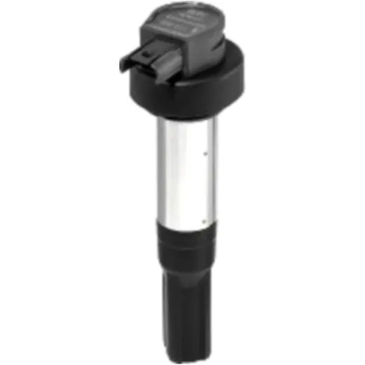 Ignition coil with spark plug cap beru ZSE227