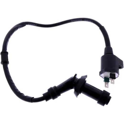 Zündspule mit Zündkerzenstecker 1264879